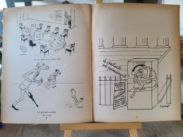 sennep-caricatures